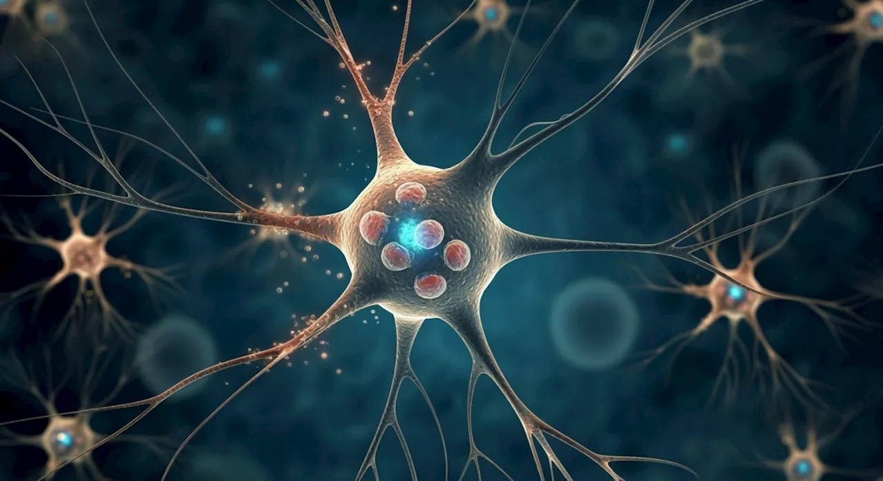 New insights into early Huntington's disease mechanisms