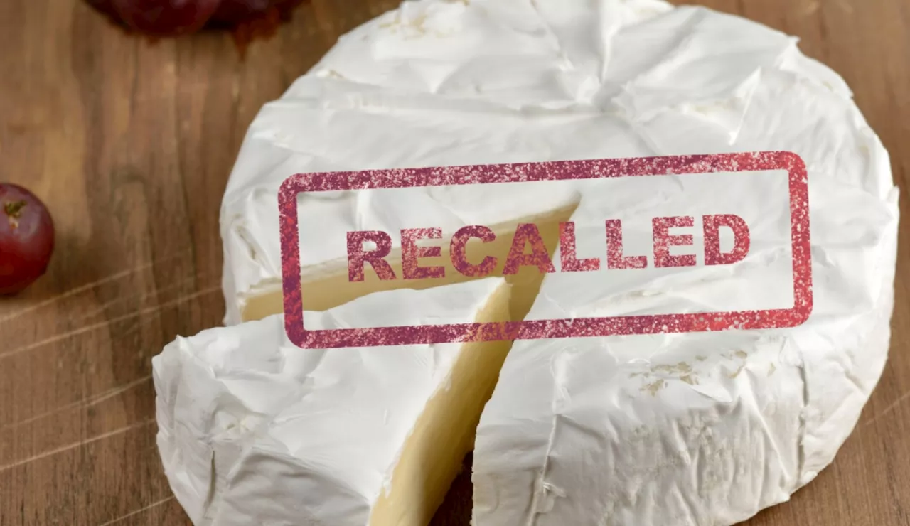 Cheese recall: Brie sold at Aldi pulled from shelves in 12 states, throw out ASAP or return for a refund