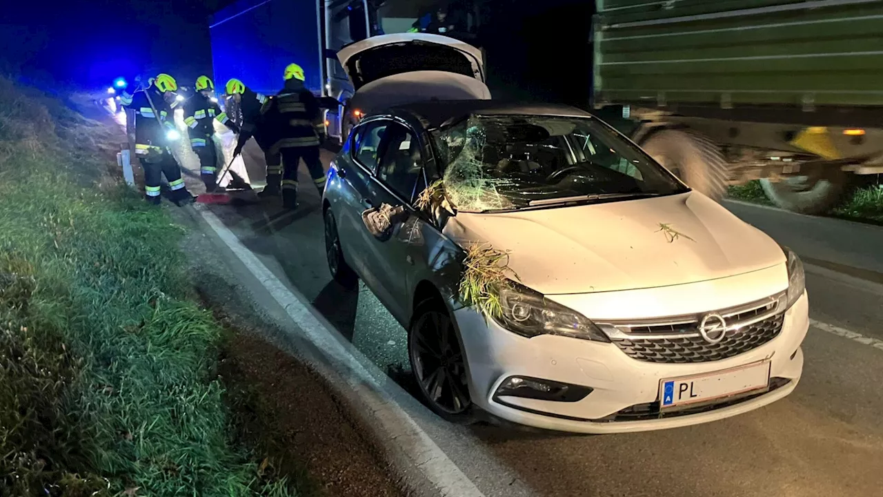 Rottersdorf: Lenker bei Fahrzeugüberschlag verletzt, FF barg Auto