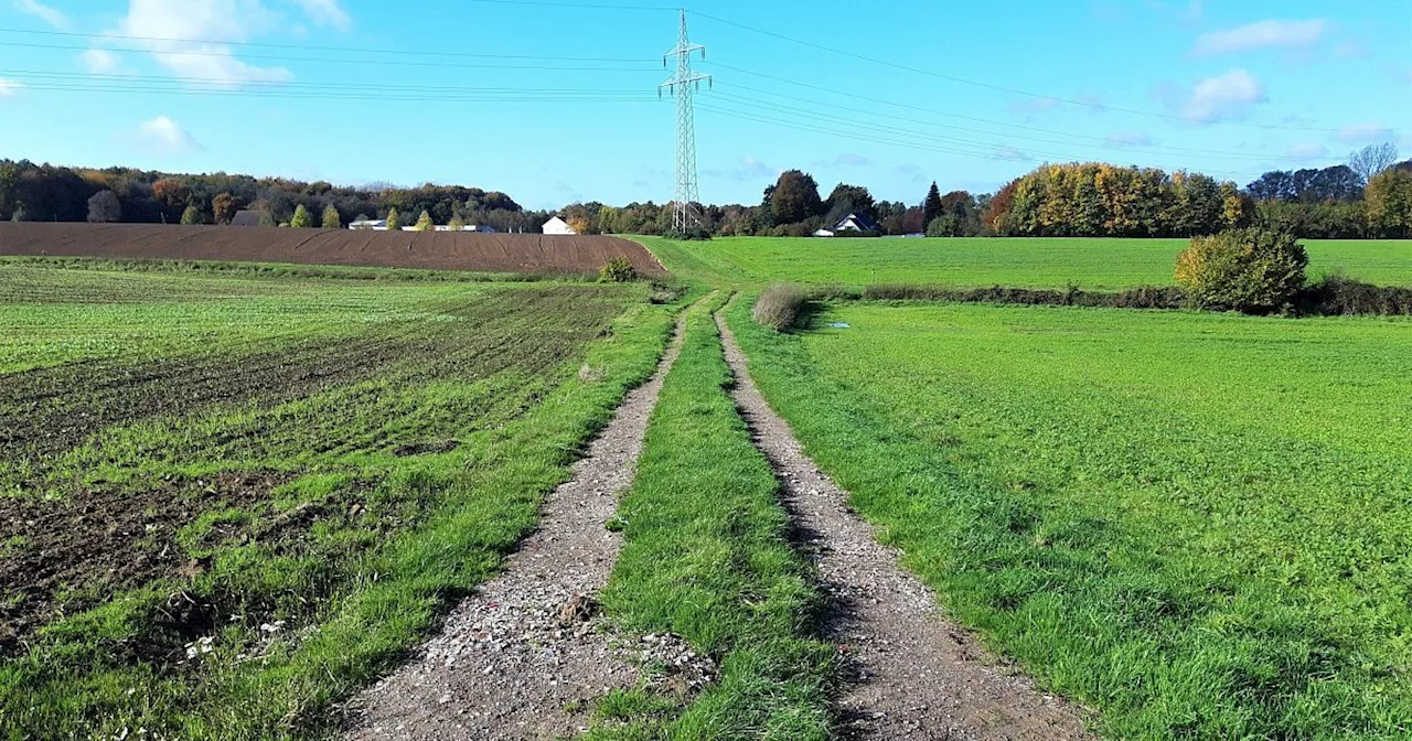 Wanderwege im großen NW-Test: Zehn Kilometer durch Enger-Oldinghausen