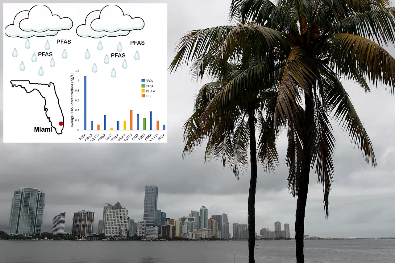 It's raining 'forever chemicals' in this major city — and likely everywhere else, researchers warn: 'PFAS are practically everywhere'