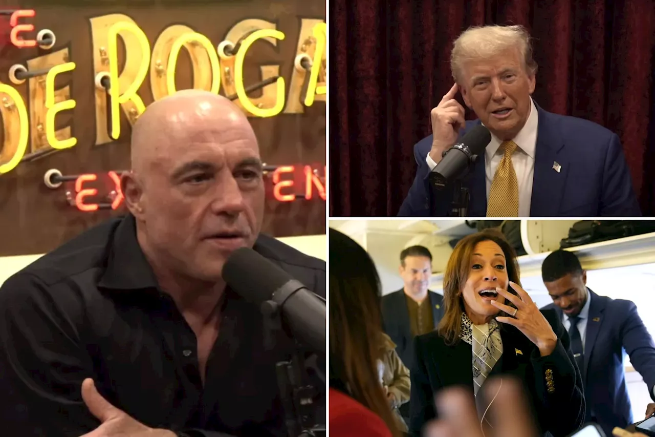 Joe Rogan announces 'endorsement of Trump' while promoting Elon Musk interview on X