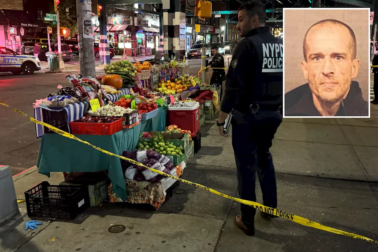 Queens crook's 23 arrests prior to stab attack on vendor show NYC's insane crime fail