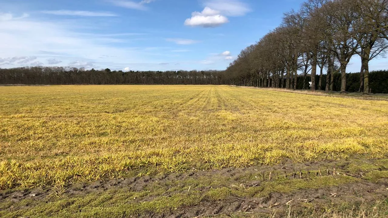 Provinciale Staten willen onderzoek naar verbod op landbouwgif