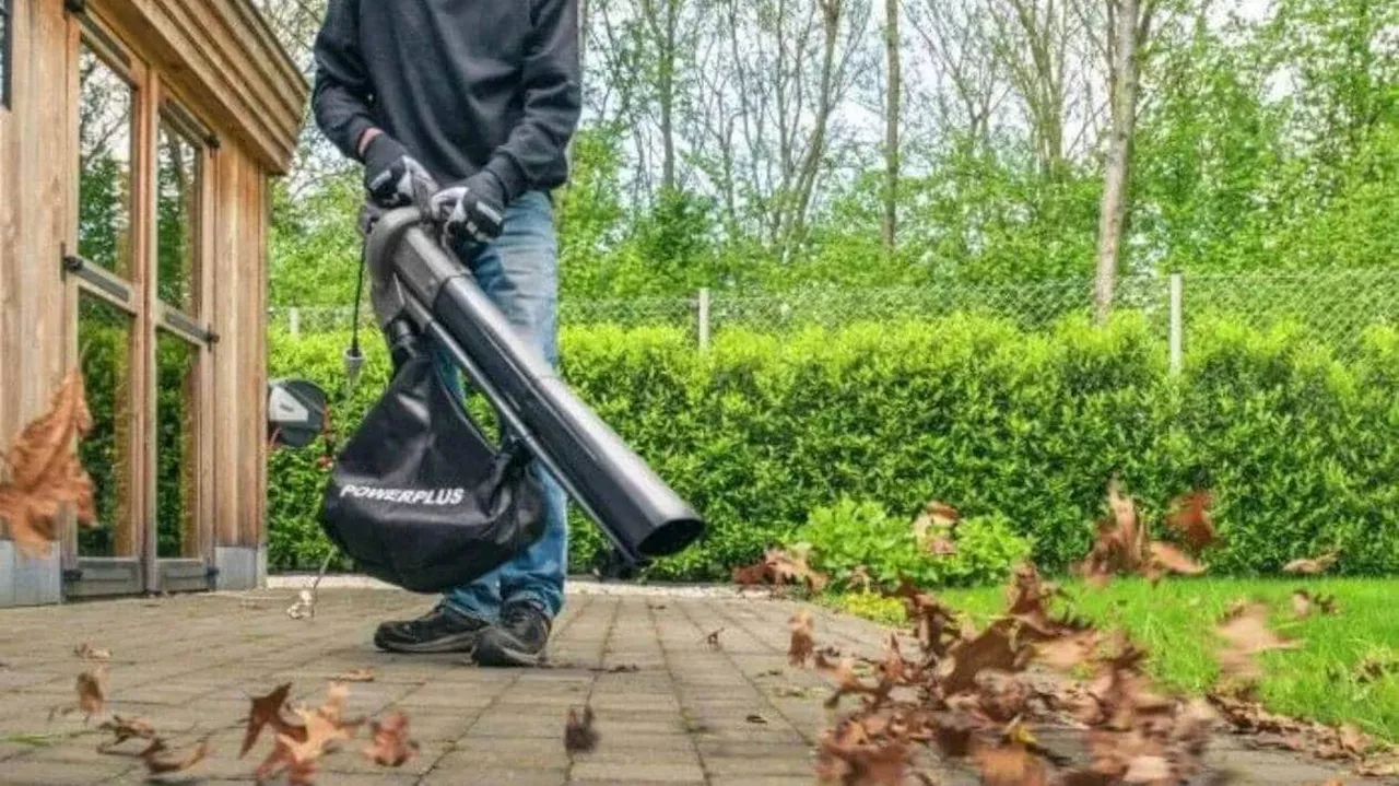 Pour cet automne, équipez-vous de ce souffleur de feuilles 3-en-1 à moins de 30 euros