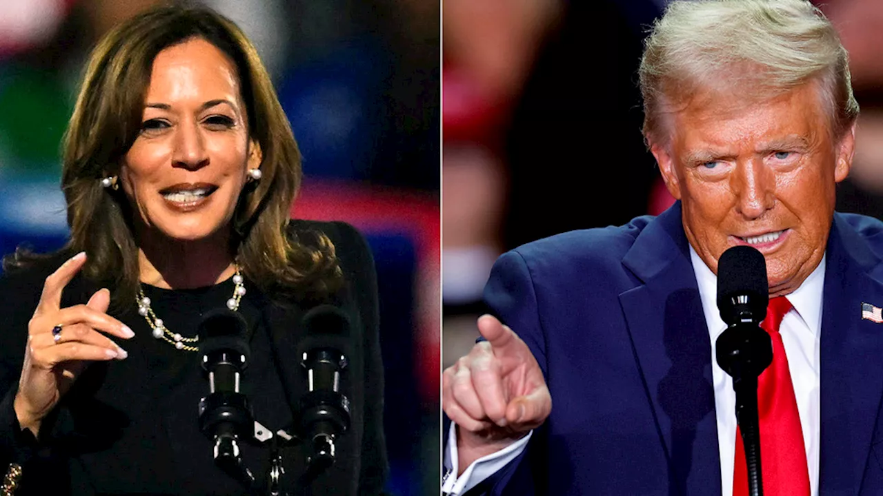 El empate, uno de los resultados posibles (¿y esperables?) entre Donald Trump y Kamala Harris