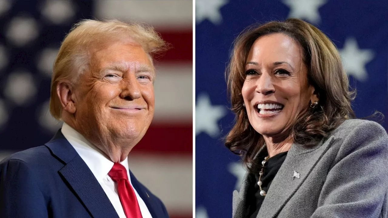 ¿Cómo llegan Harris y Trump al 5N? Lo que dicen las encuestas