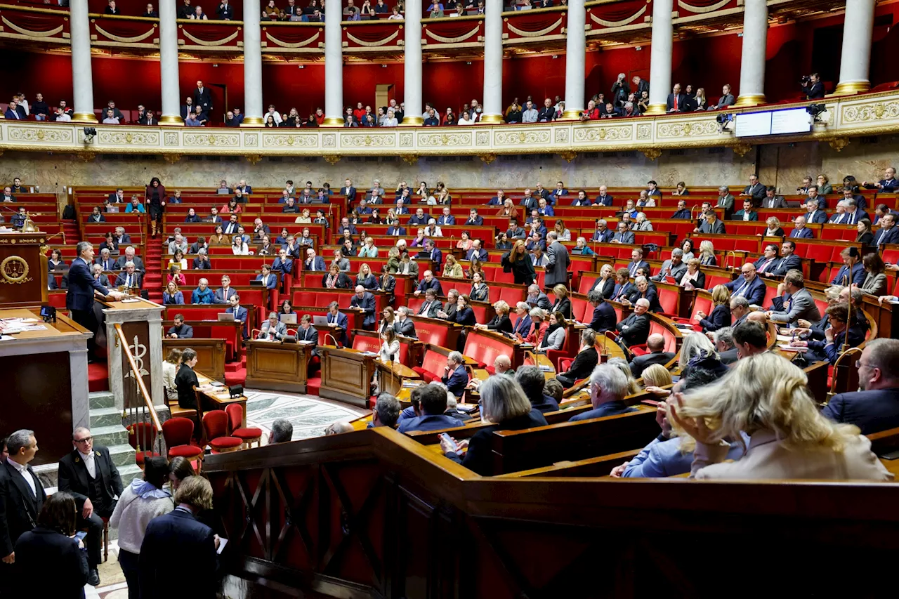 Budget 2025 : ces mesures insolites débattues à l'Assemblée nationale