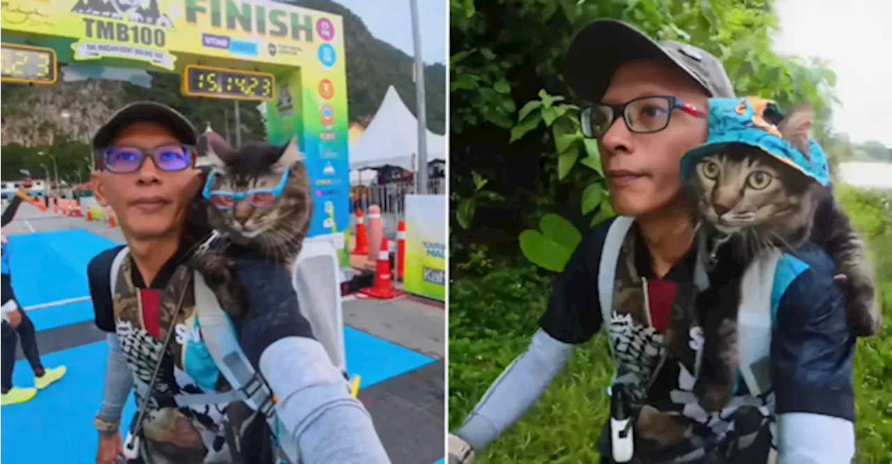 [VIDEO] This Cat Is A True Passenger Princess, Joining Runs On His Human's Shoulders