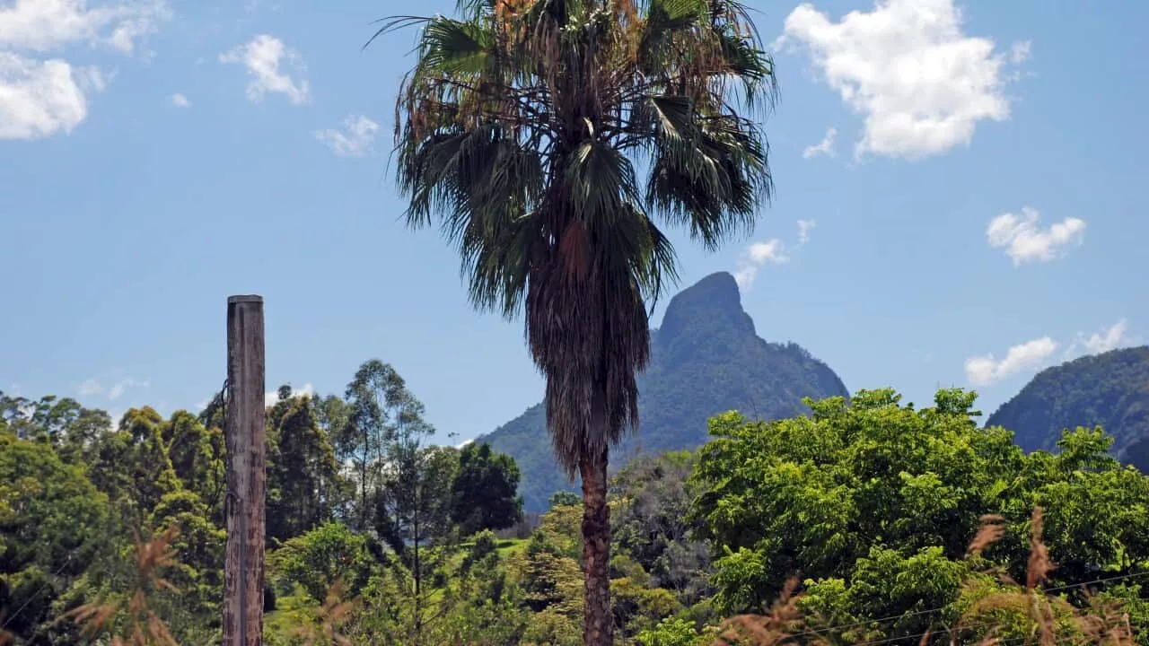 'Vile' neo-Nazi protesters climb Bundjalung sacred site