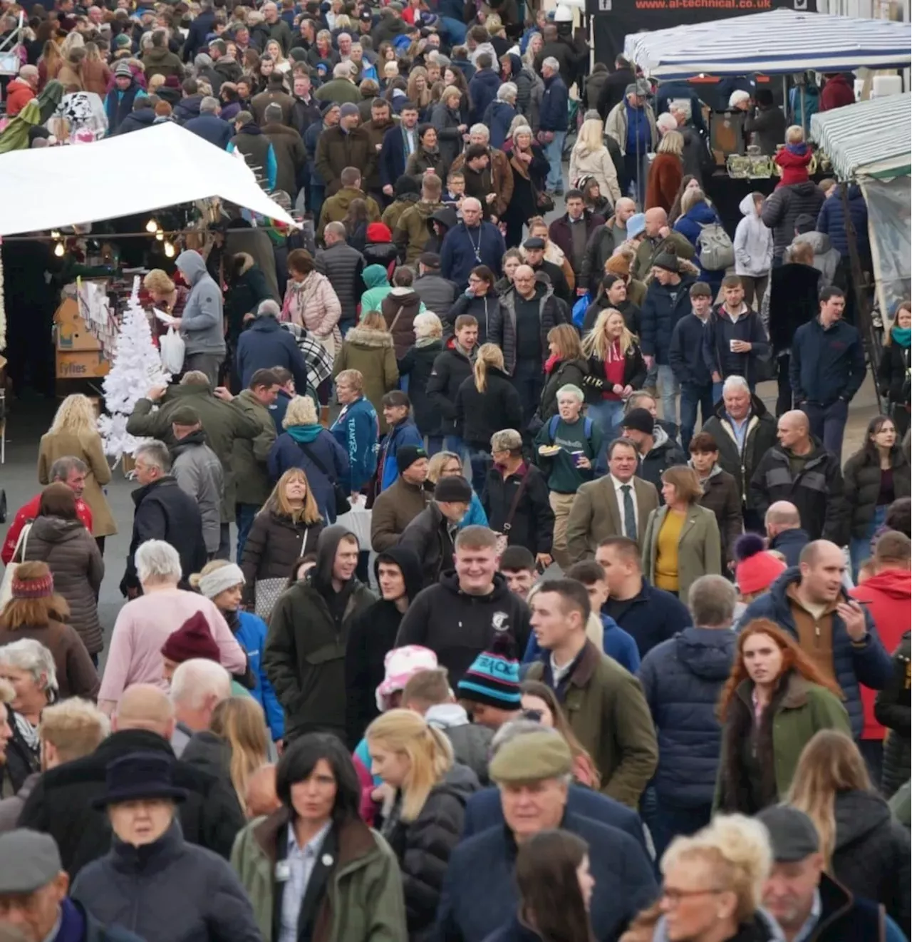 The Royal Welsh Winter Fair will go ahead despite Bluetongue virus