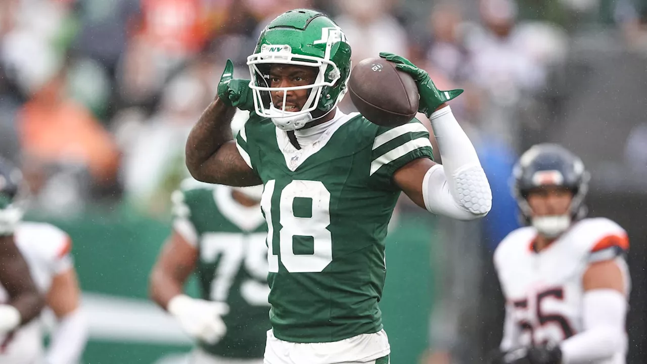 Jets Trade Veteran Receiver Mike Williams to Steelers