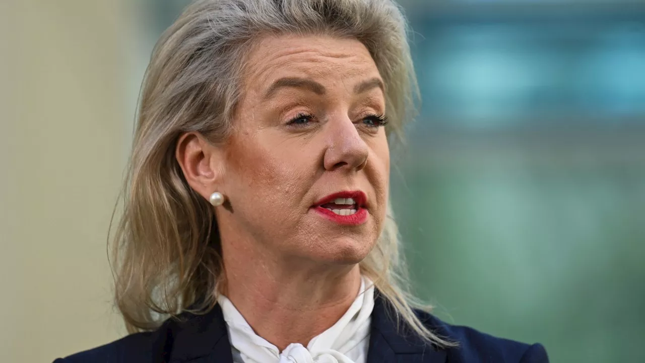 Bridget McKenzie failed to declare more than a dozen flight upgrades