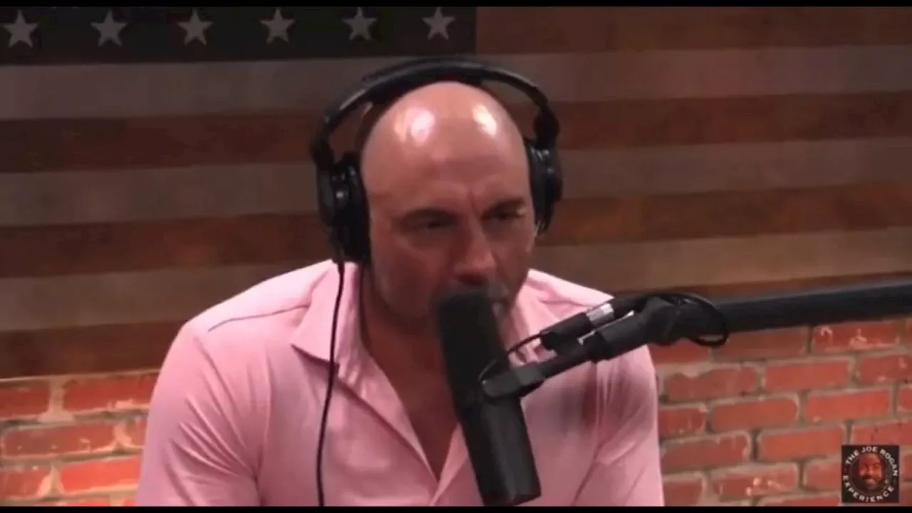 Joe Rogan makes 2024 presidential endorsement while promoting Musk interview