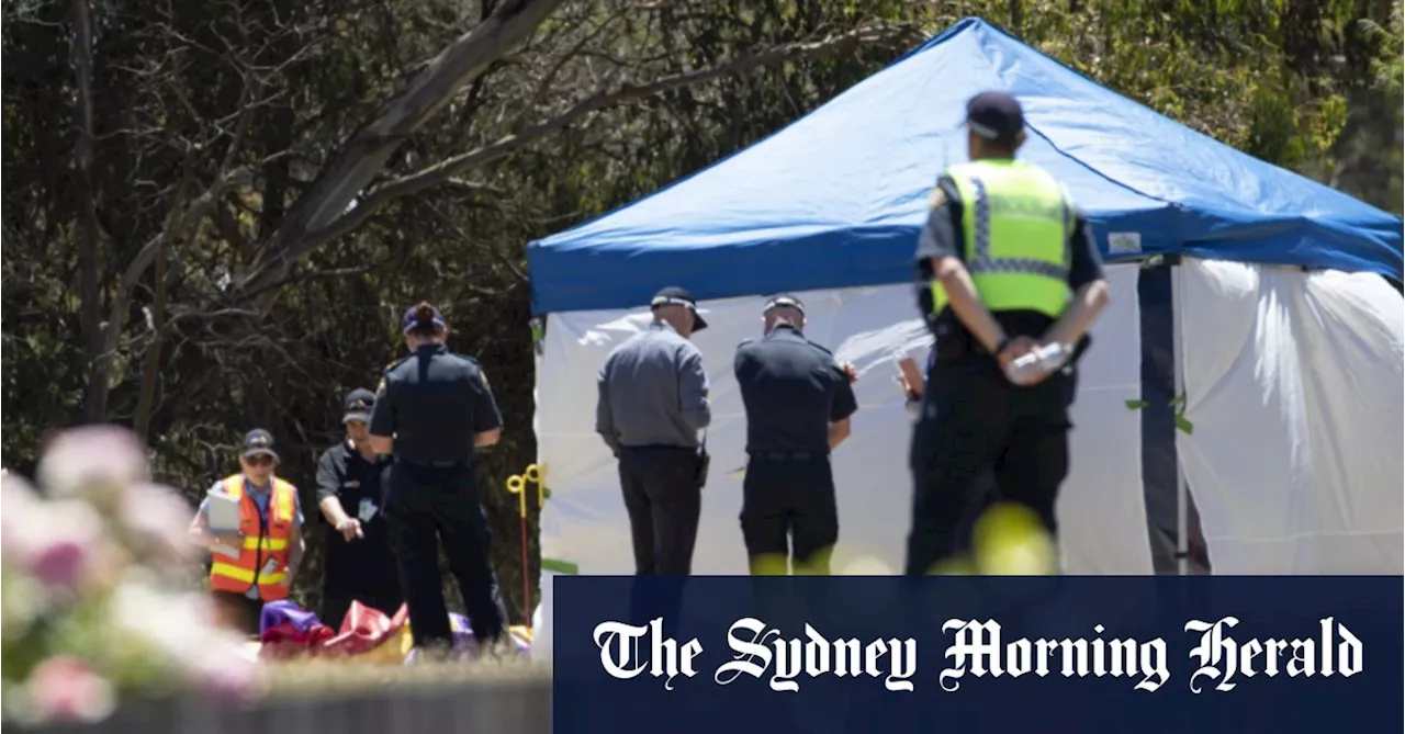 ‘Mini-tornado, screams’ on day of Devonport jumping castle tragedy