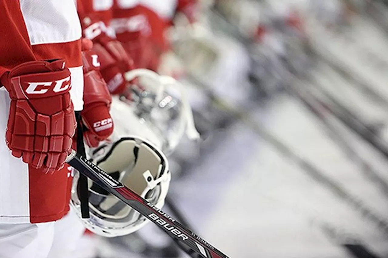 Greyhounds to honour veterans with annual Remembrance Day game