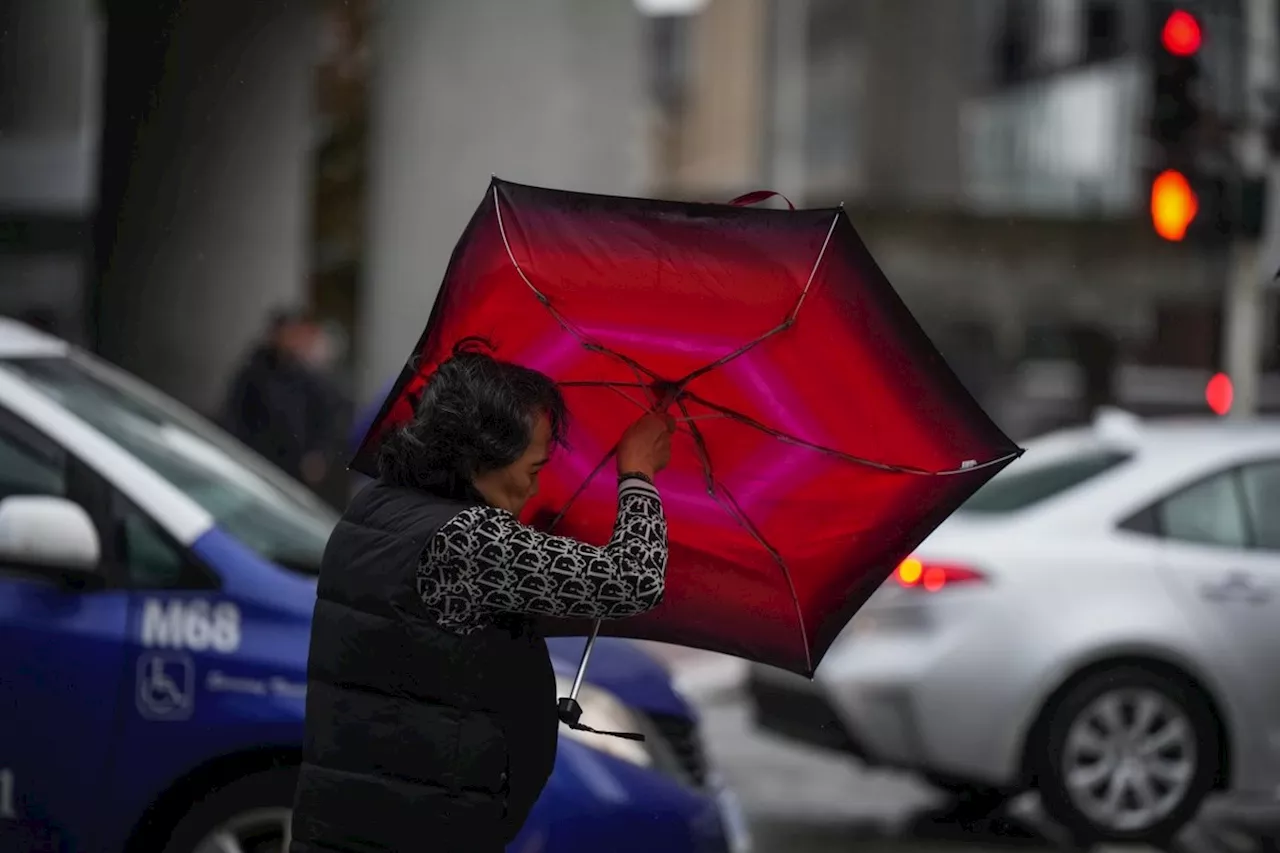 Lights back on for almost all BC Hydro customers who lost power in strong winds