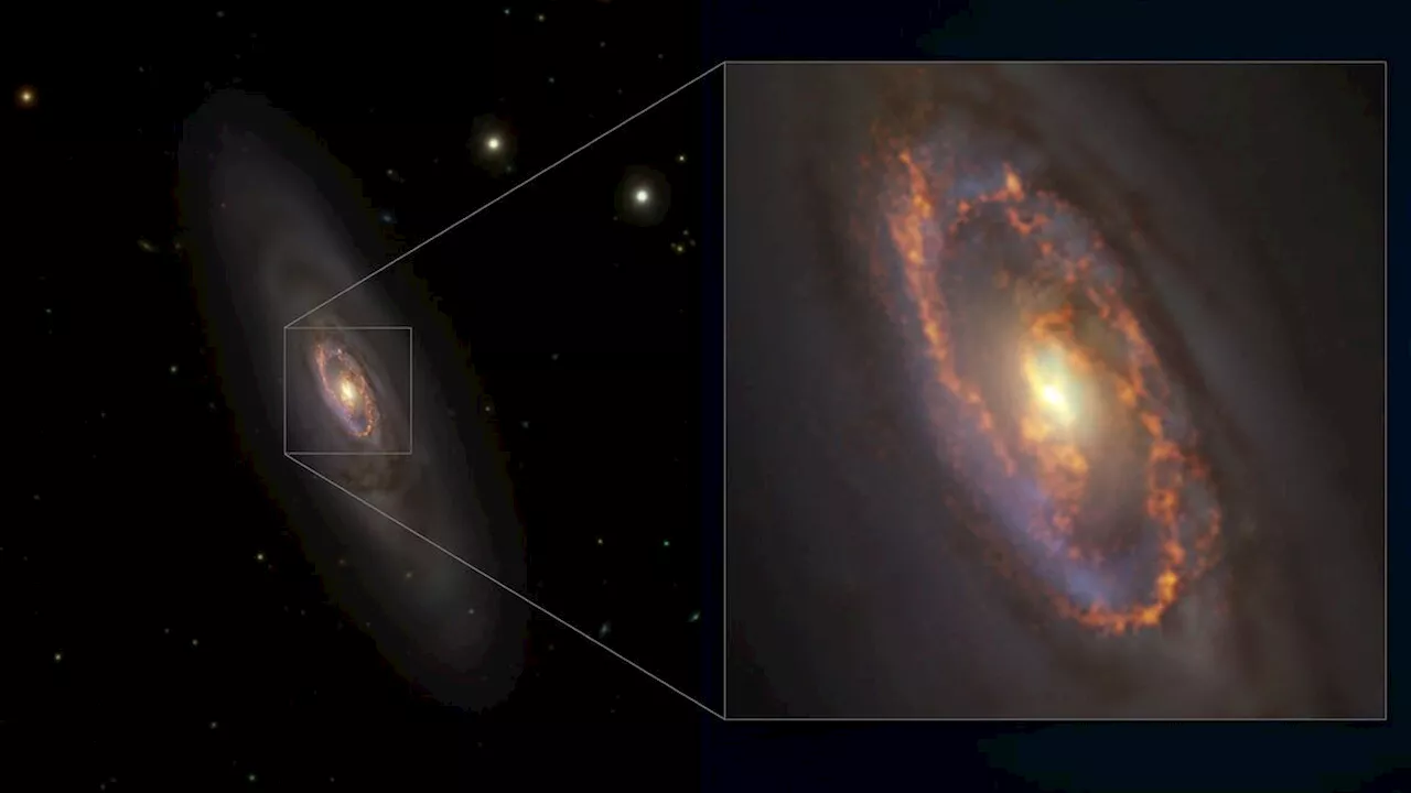 Astronomers spot unusually synchronized star formation' in ancient galaxy for 1st time