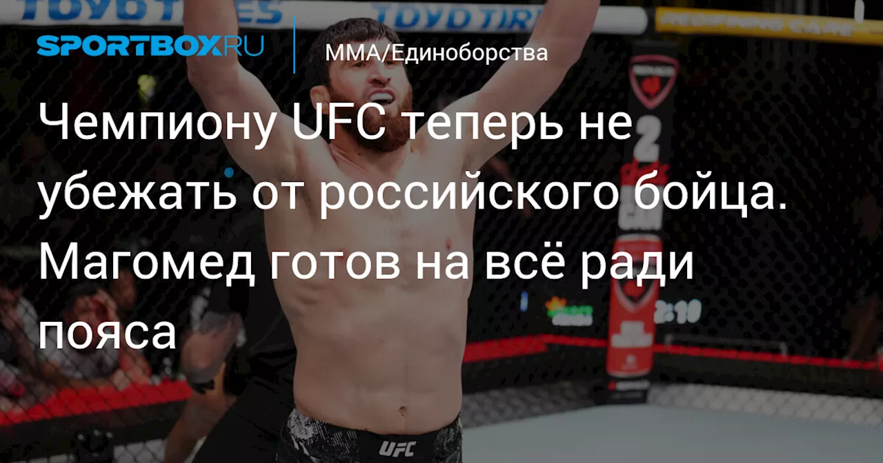 Чемпиону UFC теперь не убежать от российского бойца. Магомед готов на всё ради пояса