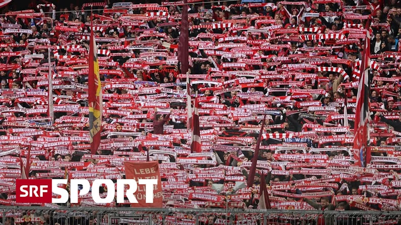 Gegen Schachtar auf Schalke - Bayern-Fans zahlen über 3 Mal mehr als YB-Anhänger