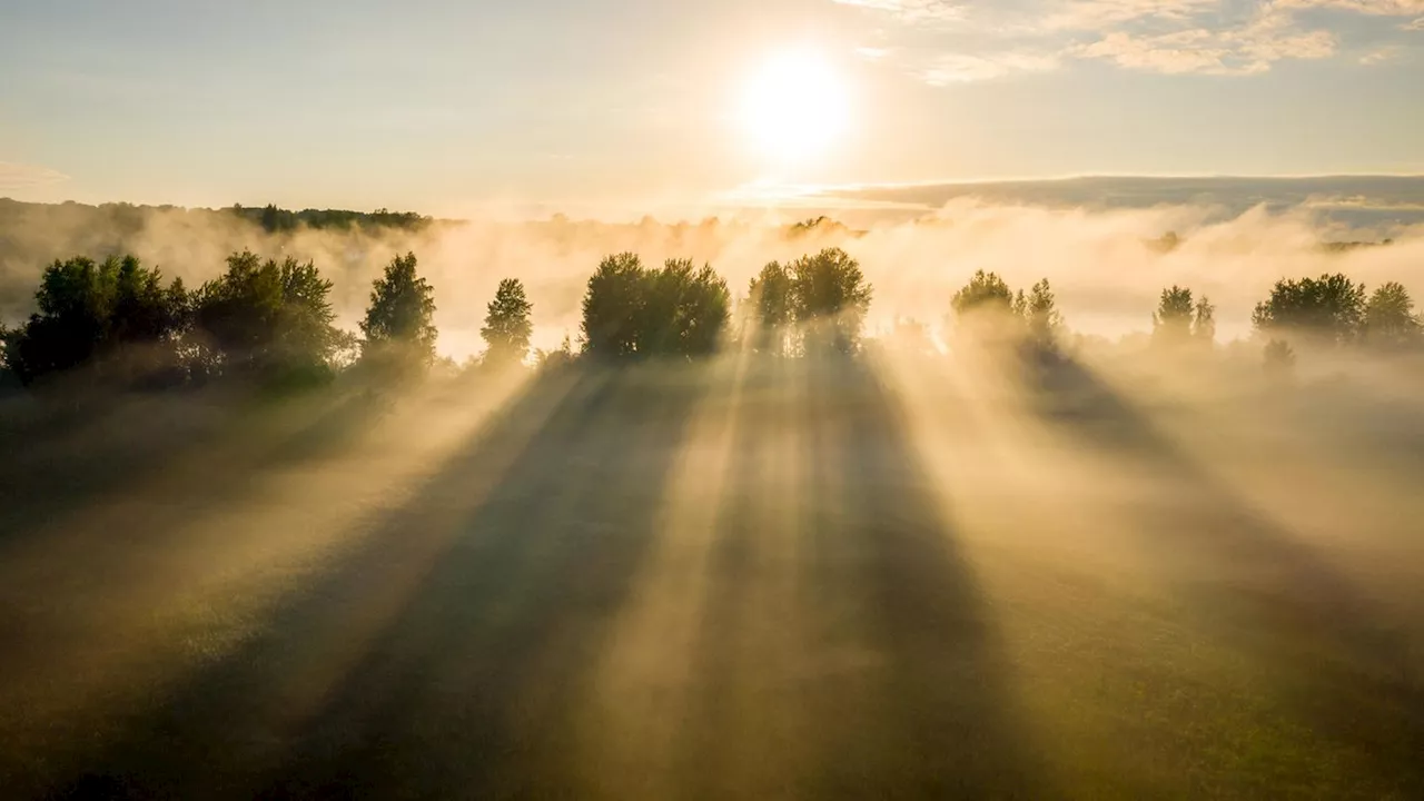 Wetter heute: So wird das Wetter am Dienstag