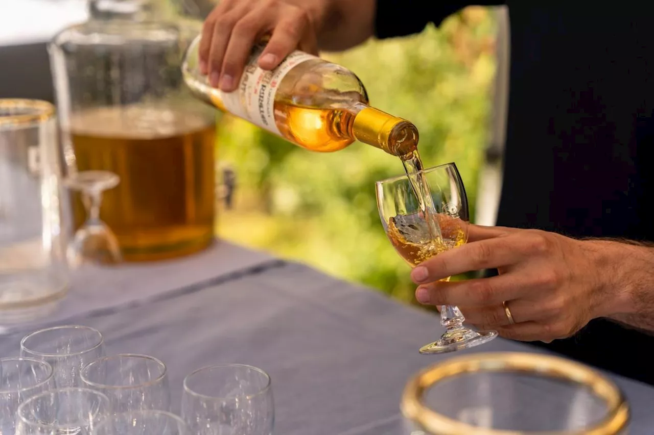 Sauternes : les appellations Sauternes et Barsac ouvrent leurs portes pendant un long week-end