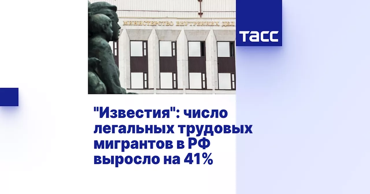 'Известия': число легальных трудовых мигрантов в РФ выросло на 41%