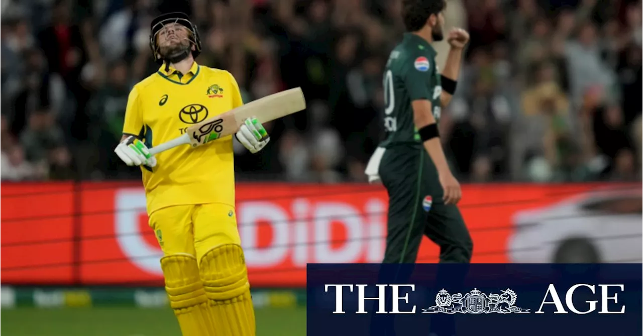 ‘Egos weren’t put away’: Healy slams Aussies after ODI run chase