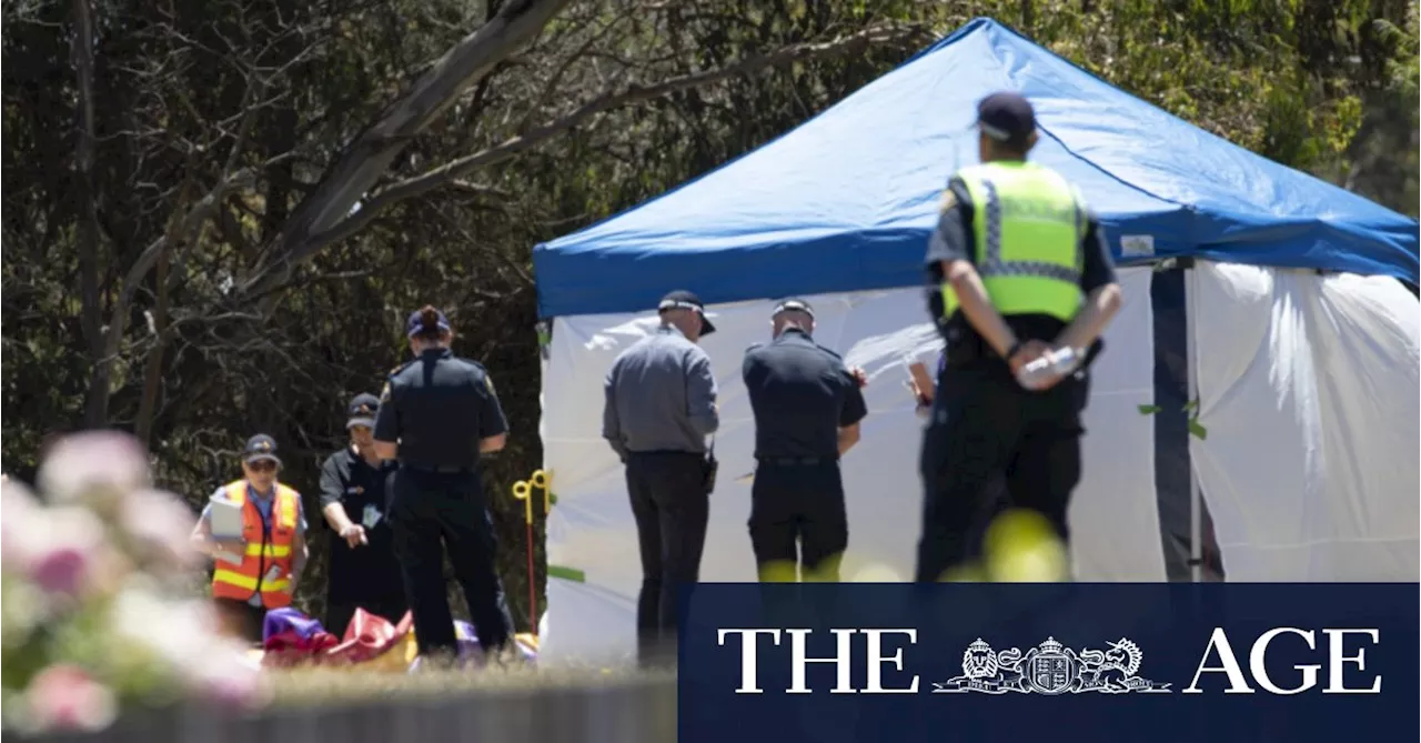 ‘Mini-tornado, screams’ on day of Devonport jumping castle tragedy