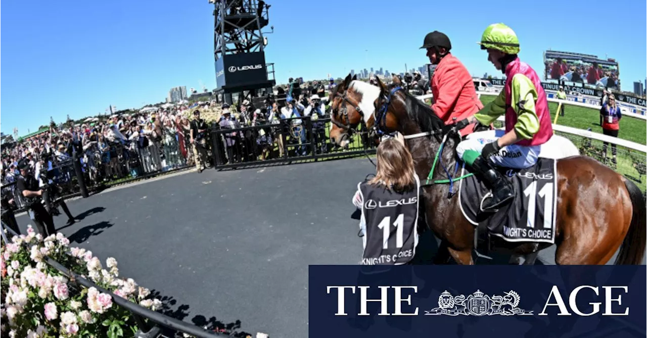 ‘The Australian horse has done it’: Inside the Flemington bubble as an underdog wins the Cup