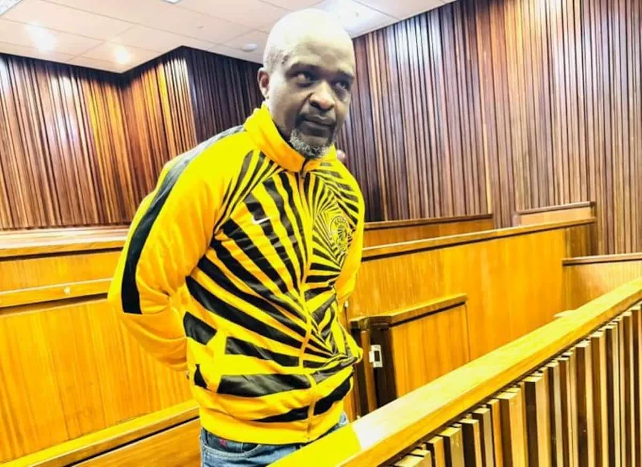 Louis Serenetra Moyo gets life in jail for killing girlfriend during fight over lobola money