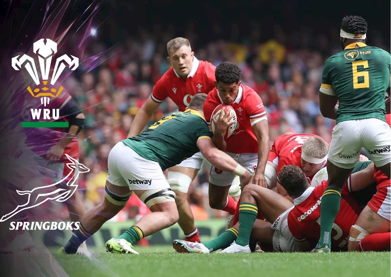 Wales vs South Africa: 23 November 2024 at Principality Stadium