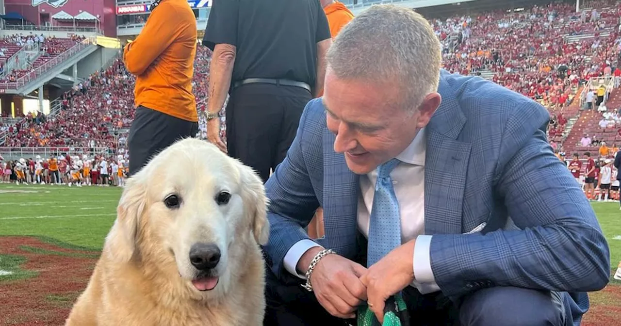 Kirk Herbstreit Gives Heartbreaking Update on His Dog Ben's Health