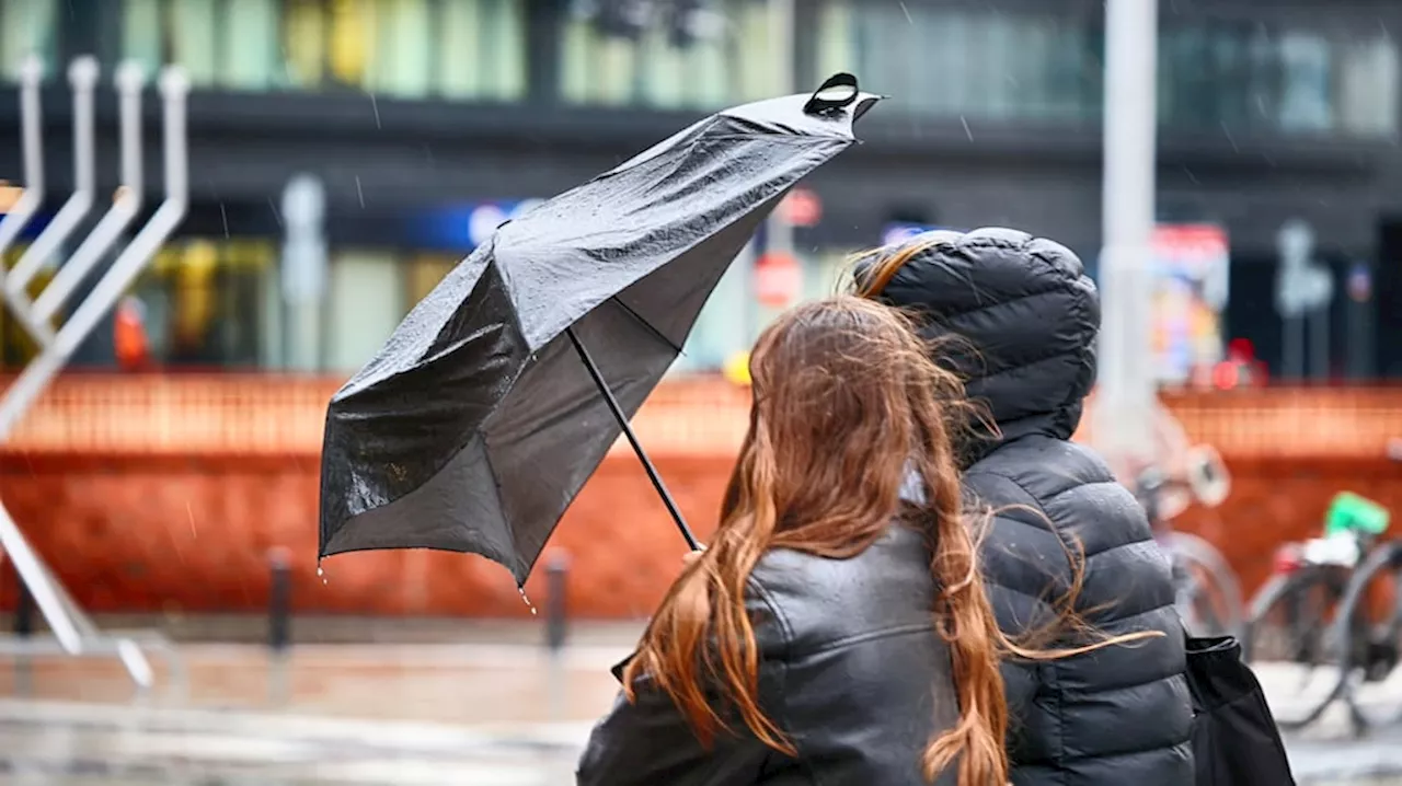 🟡 Hay alerta amarilla por tormentas y vientos fuertes para este martes 5 de noviembre: las zonas afectadas