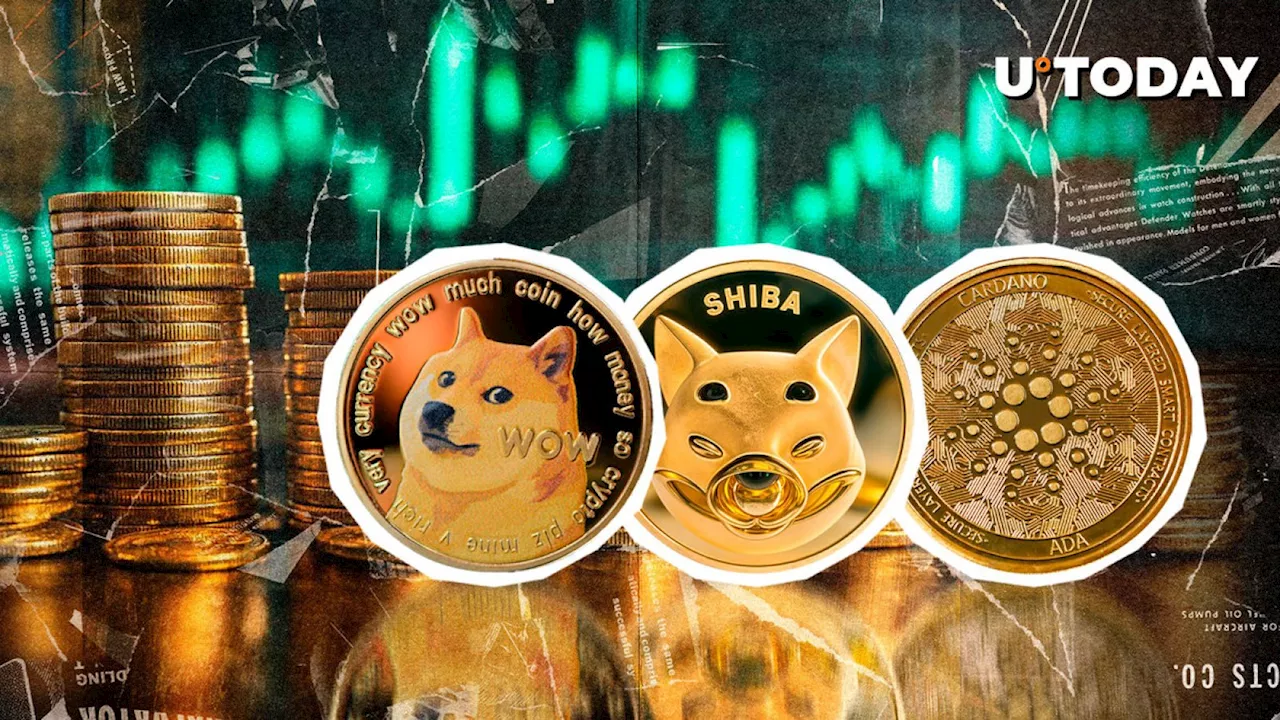 Dogecoin, Shiba Inu and Even Cardano Can Rally in 2025, Here's Why