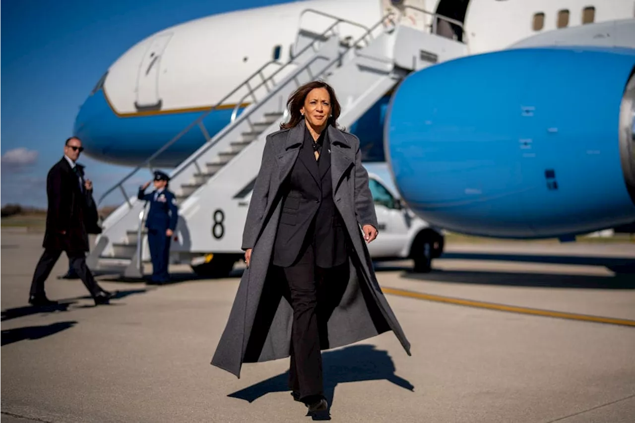 Si Kamala Harris llega a ser elegida sería mucho más de lo mismo: asistente político