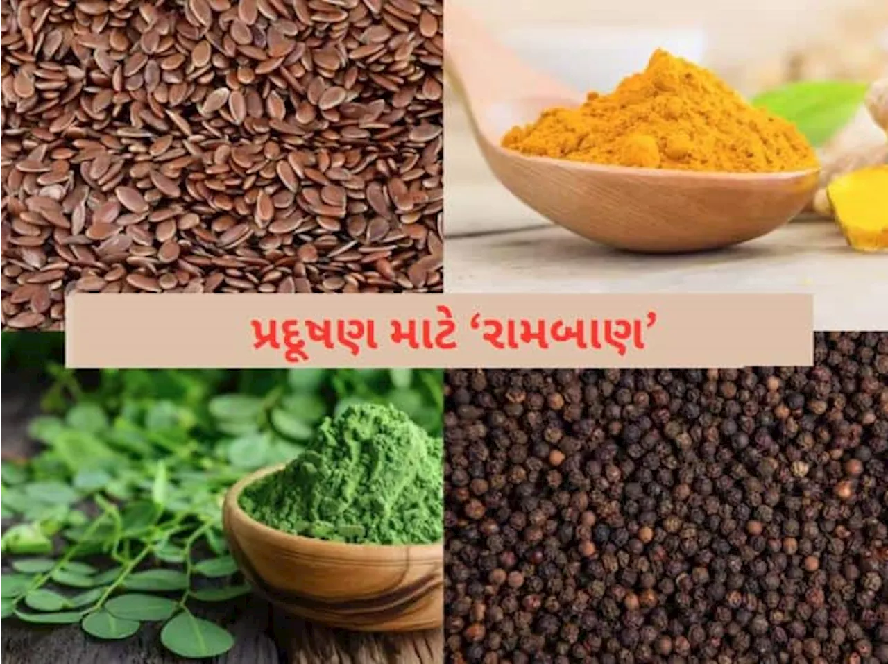 પ્રદૂષણથી છો પરેશાન? આ 10 સૂપર ફૂડ ખાશો તો હંમેશા રહેશો ચૂસ્ત અને તંદુરસ્ત