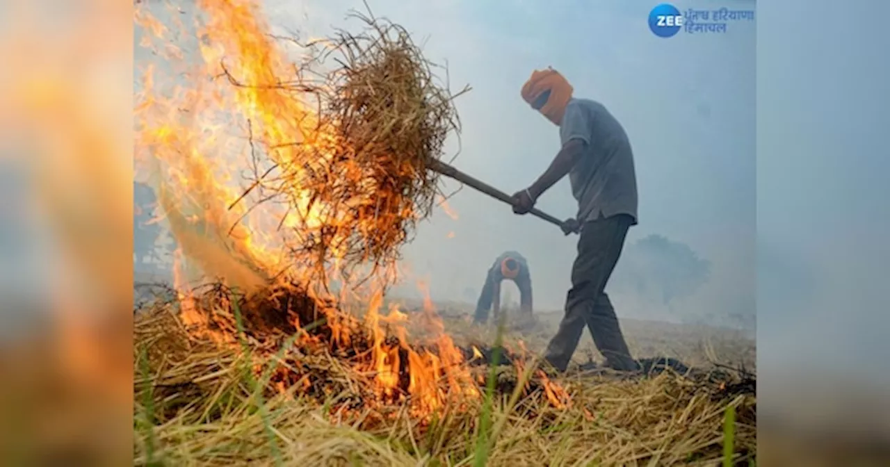 Punjab Stubble Burning: ਪਰਾਲੀ ਸਾੜਨ ਵਾਲਿਆਂ ਖ਼ਿਲਾਫ਼ ਐਕਸ਼ਨ ਮੋਡ ਚ ਪ੍ਰਸ਼ਾਸਨ, ਜਾਣੋ ਪੰਜਾਬ ਦੇ ਜ਼ਿਲ੍ਹਿਆਂ ਦਾ ਹਾਲ