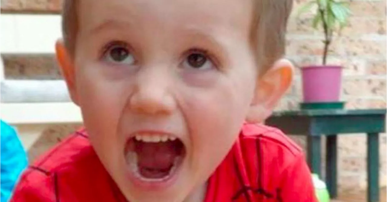 William Tyrrell inquest to view foster mum's grilling