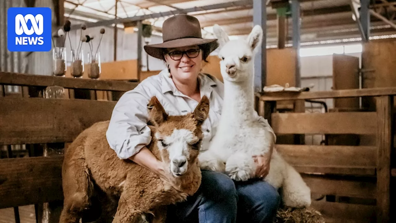 Alpaca farmer turned fibre artist makes mark at Eco Fashion Week Australia