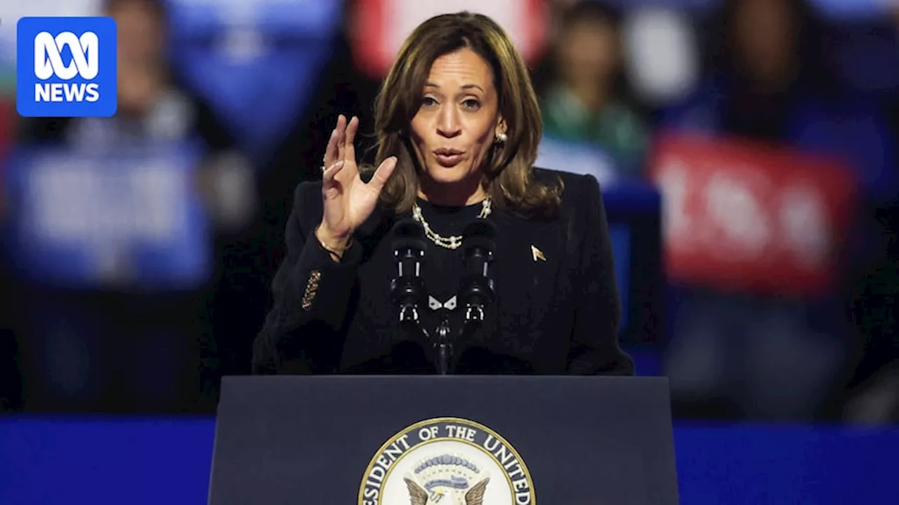 The Democratic Party's challenges were obvious from the moment Kamala Harris became the nominee