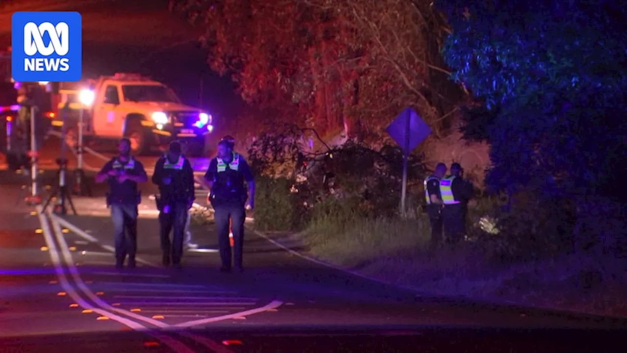 Unidentified driver killed in Frankston North crash on Sunday could be a child, police say