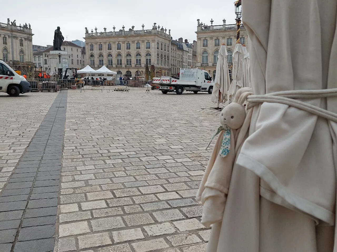 Nancy : un 'lapin' attend désespérément son propriétaire place Stanislas