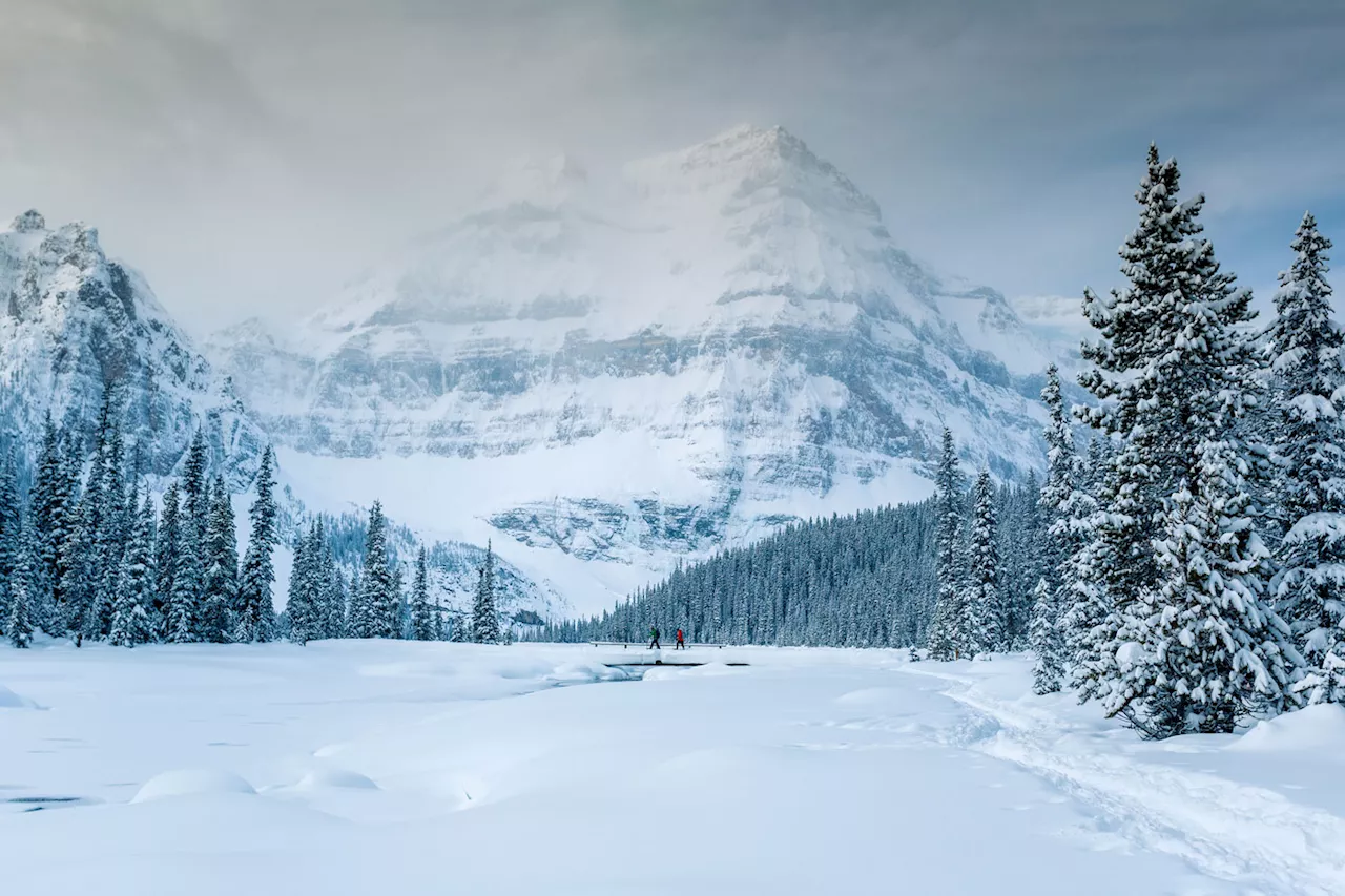 Accessible Winter Mountain Experiences in the Rockies and Beyond