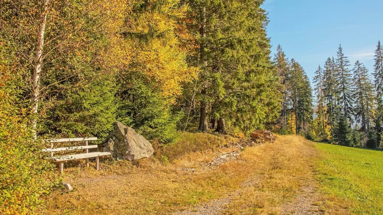 Zu gefährlich! Erste Gemeinden bauen Sitzbänke ab