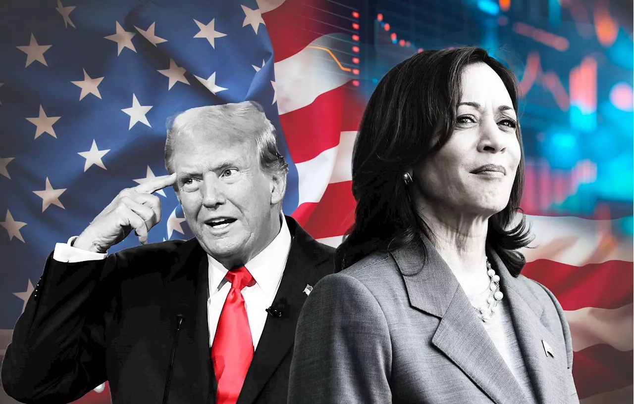 US Election Live: The key takeaways as Donald Trump and Kamala Harris vie for presidency