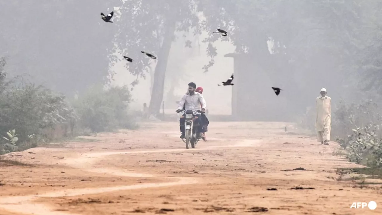 Pakistan's Punjab province shuts schools in smog-hit main cities