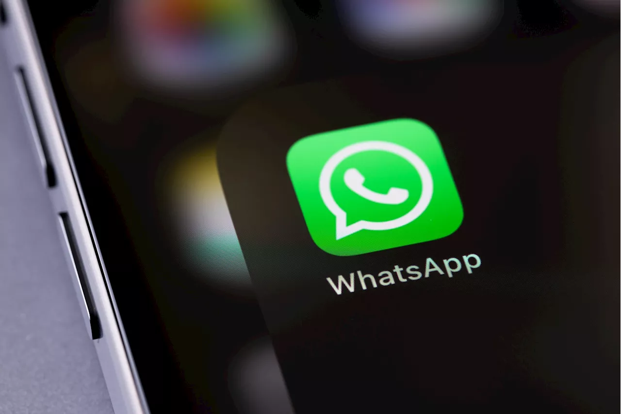 WhatsApp met à l'essai une nouvelle fonction de recherche d'image inversée