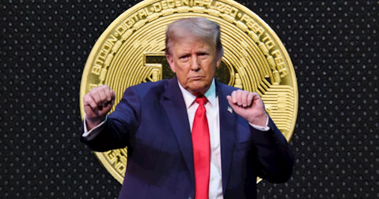 BITCOIN se dispara y da por ganador a DONALD TRUMP de las ELECCIONES de Estados Unidos