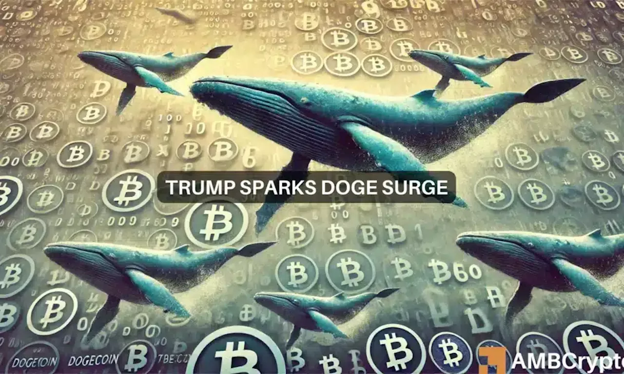 Dogecoin whales jump in: DOGE climbs 28%, thanks to the ‘Trump effect’